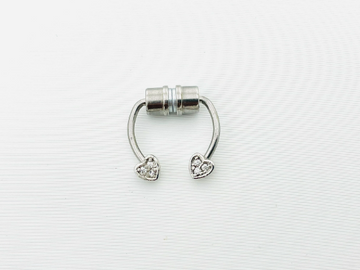 Magnetic Fake Septum Ring